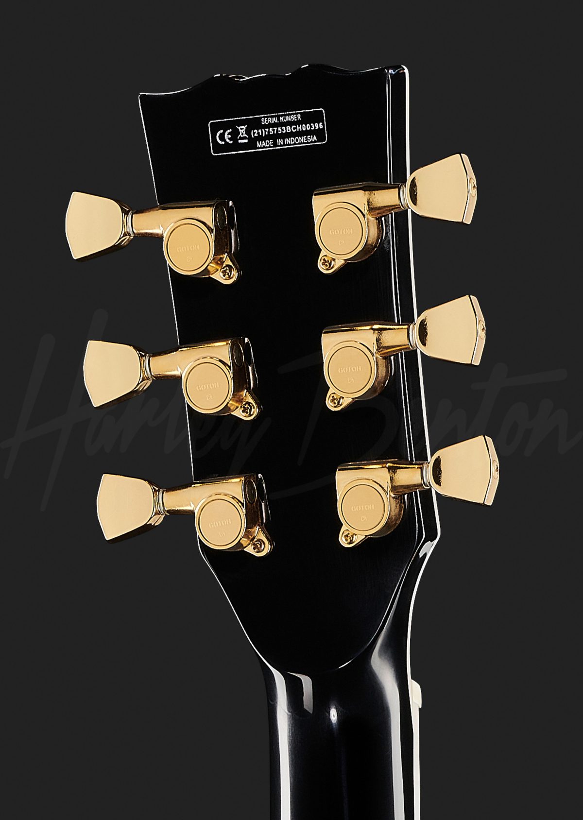 SG Harley Benton DC-DLX ステンレスフレット等豪華装備-