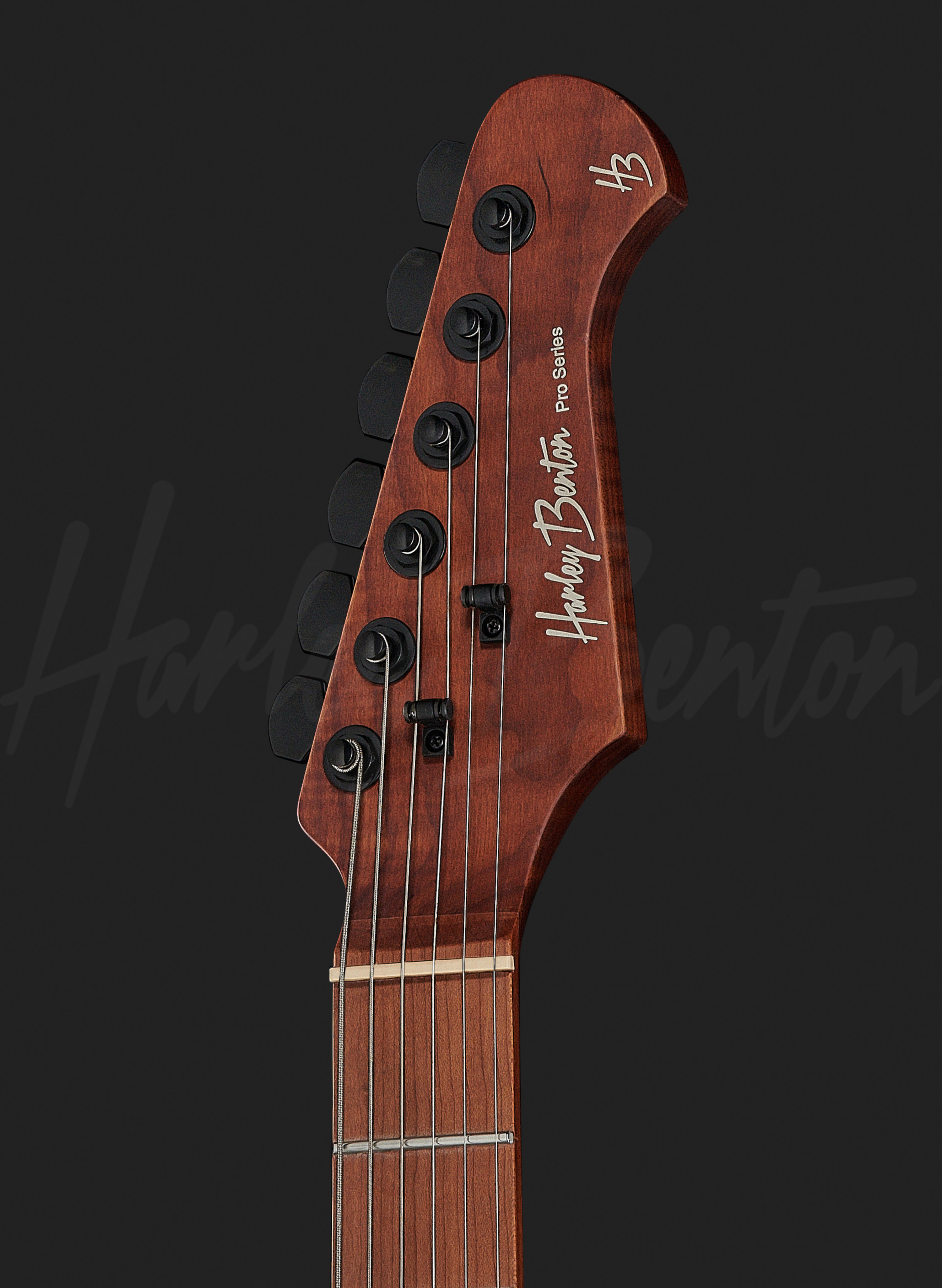 Harley Benton Fusion-III HSS Roasted 直販値下げ www.bandyworks.com