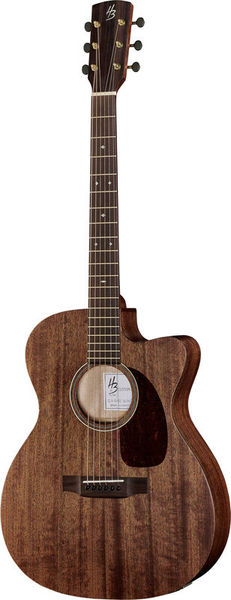 Harley benton on sale acoustic guitars